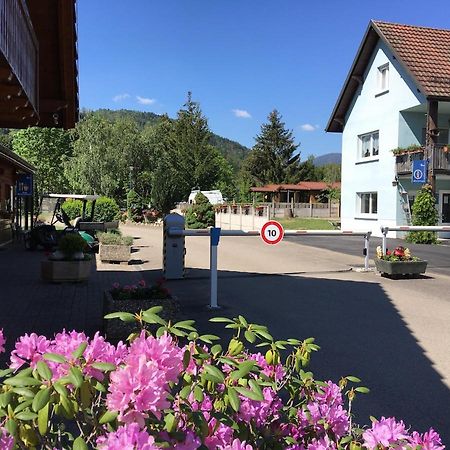 Flower Camping Les Bouleaux Hotel Ranspach Exterior photo